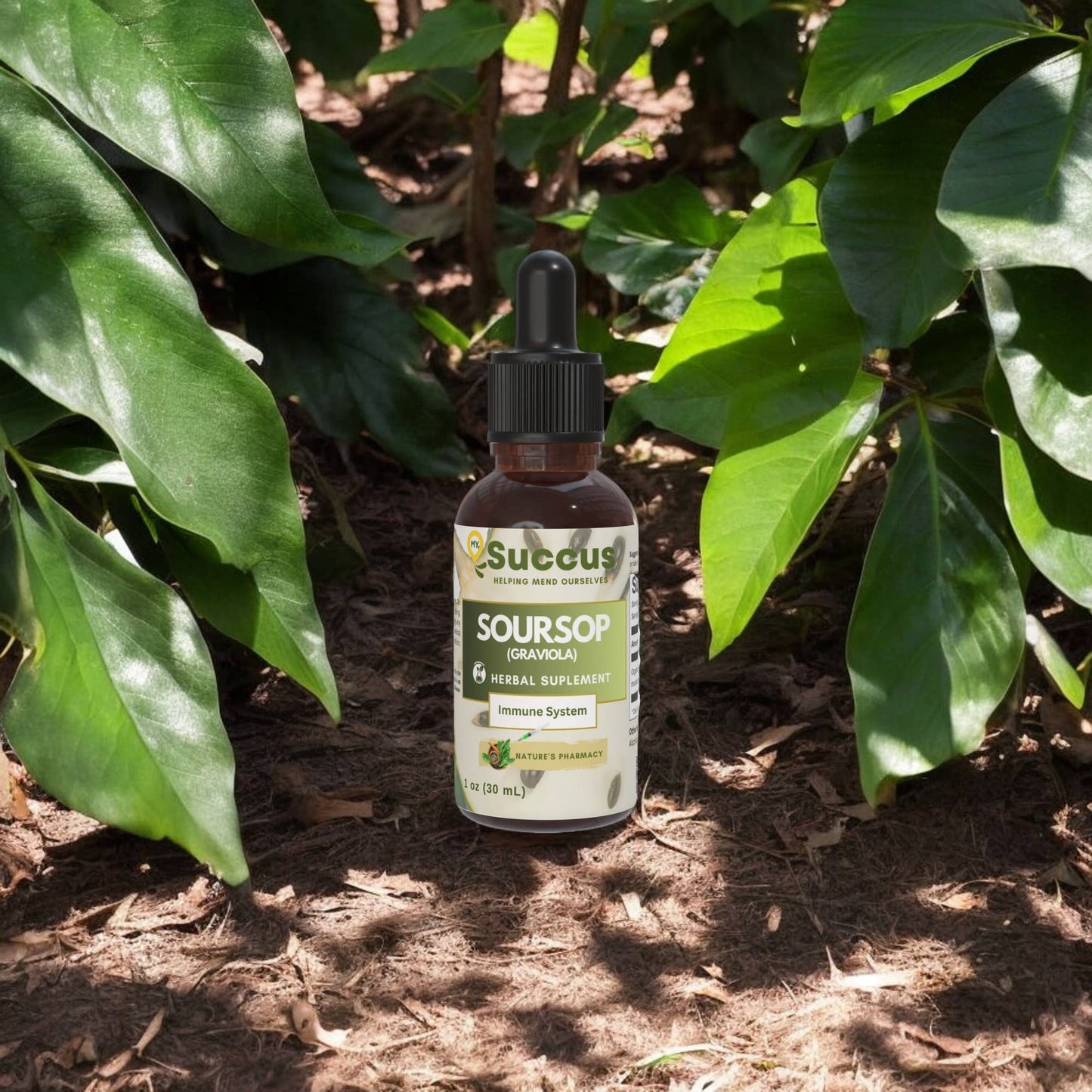 Soursop (Graviola) Tincture - Immune System - Marilyn's Marketplace