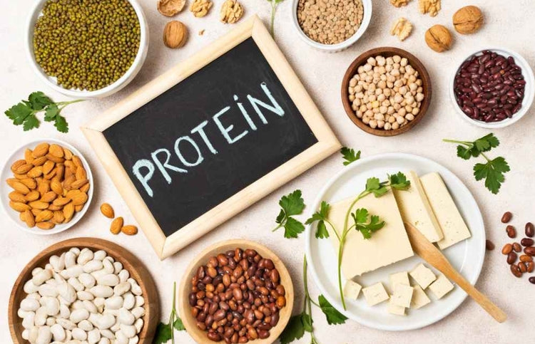 PROTEIN PRODUCTS