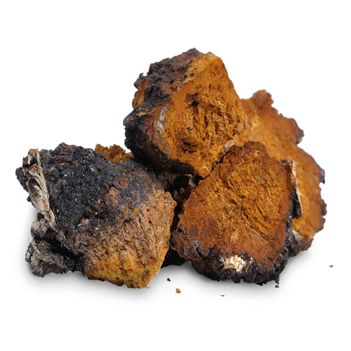 CHAGA Mushroom Powder - 3.5oz - Marilyn's Marketplace