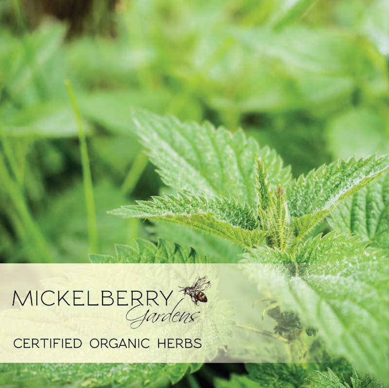 Pollen Honey Tonic - Marilyn's Marketplace