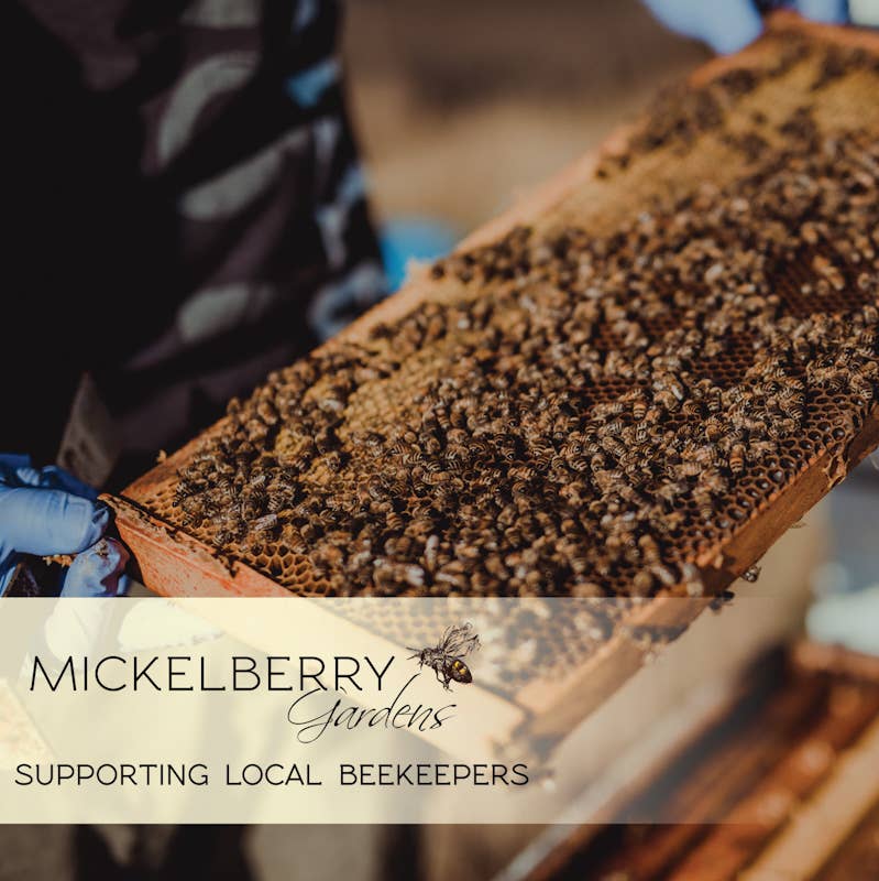 Pollen Honey Tonic - Marilyn's Marketplace